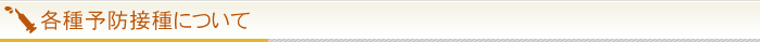久保田クリニック予防接種について